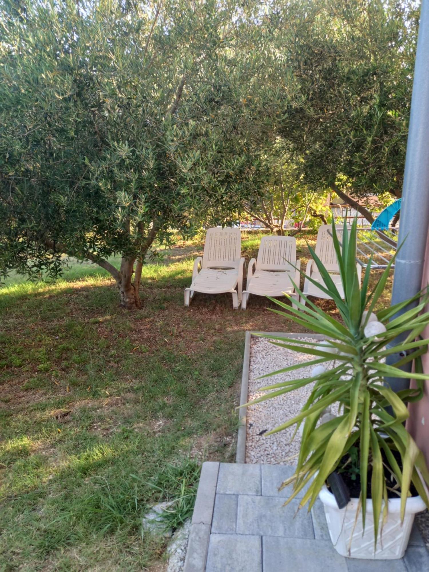 Dani Apartment Zadar Bilik gambar